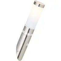 Brilliant Briljante buitenwandlamp Bole, roestvrij staal, met bewegingssensor