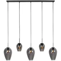 Steinhauer 5 Lichts Hanglamp Haloswap Zwart Met Smoke Glas