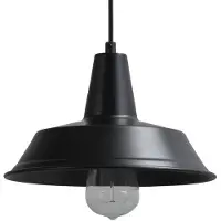 Masterlight Hanglamp Industria 25