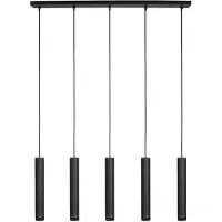Mexlite Zwarte vijflichts Hanglamp DownLume 4216ZW met GU10 fitting