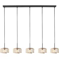 Steinhauer 5 Lichts Hanglamp Haloswap Recht