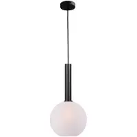 Masterlight Hanglamp Ø 25cm Bella 2 Zwart Met Mat Wit Glas