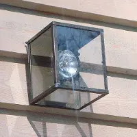 Authentage Muurlamp Vitrine 1L AR111 landelijk