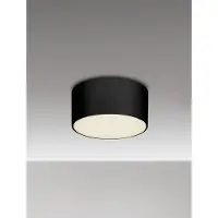 Lyora Ronde plafondlamp Judi Ø 12cm antraciet