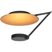 Highlight Design Plafondlamp Goldy Zwart Ø 29cm