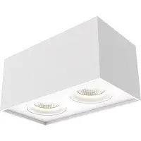 Lyora Dubbele led opbouwspot Iblocc wit