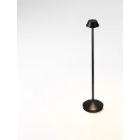 Lyora Tuinlamp Arion antraciet