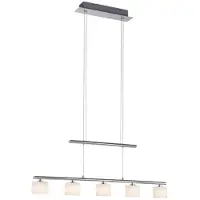 Paul Neuhaus 5-lichts hanglamp Hydra metaal