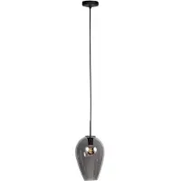 Steinhauer Hanglamp Haloswap Met 1 Smoke Glas Ø 22 5cm