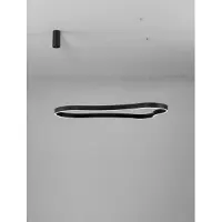 Lyora Natuurlijke vorm hanglamp Dussa zwart 120cm