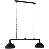 FISCHER&HONSEL GMBH Industriële hanglamp Leitung 2-lichts