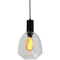 Masterlight Hanglamp zwart Porto met Nicolette clear glas - Ø 20cm