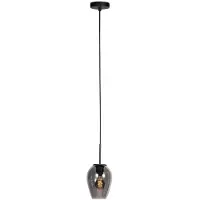 Mexlite Hanglamp Haloswap Met 1 Smoke Glas Ø 15cm