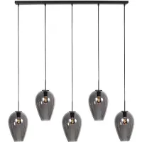 Mexlite Drovia LED Hanglamp | 5x E27 40W | Dimbaar | Zwart