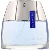 Iceberg Effusion for Him Eau de Toilette 75 ml