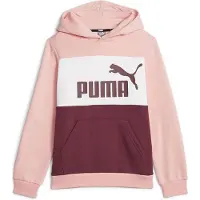 Puma Ess Block Fl Hoodie