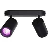 Calex Smart Plafondlamp - 2-Lichts - Slimme Opbouwspot - Ovaal - Zwart