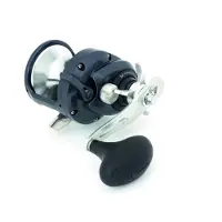 Shimano Torium A Hg Trollingmolen