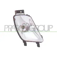 PRASCO PG4244413 Mistlamp