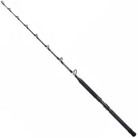Shimano Fishing TLD B, hengel voor trollen, staande positie, zilverkleurig, 1.65 meter / 30 lbs, zilverkleurig, 1.65 meter