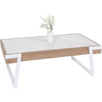 Mendler Salontafel -L89, bank tafel woonkamer tafel, ijzer 43x120x64cm gesinterde steen marmer look wit natuurlijk hout