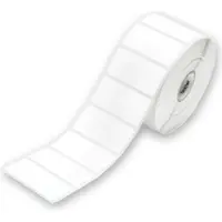 Epson Etiket C33S045541 High Gloss (102 x 152 mm) Wit