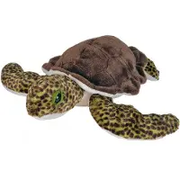 Sonstige Verlage Sea Turtle Plush Bruin