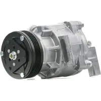 RIDEX 447K0534 Aircopomp