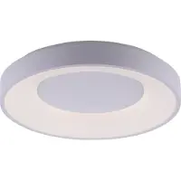 Paul Neuhaus LED-plafondlamp 14326-16, wit, 26,5 W, 3300 lm, kleurtemperatuur