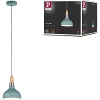 Paulmann Neordic Juna 79652 Hanglamp LED E14 20 W Zachtgroen, Koper, Hout