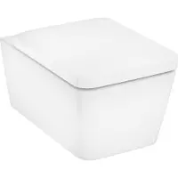 Hansgrohe EluPura Q - Hangend toilet met SoftClose zitting, Rimless, SmartClean, wit 61117450