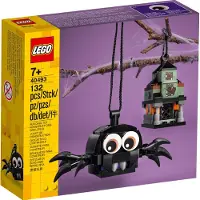 LEGO Spin en spookhuis pakket - 40493