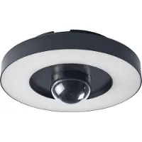 Osram SMART+ Wifi LED-buitencamera CIRCLE, grafiet Sensor IP44 dimbaar, alu / grijs / zink, Kunststof, Modern