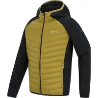 Regatta - Kid's Junior Andreson Hybrid - Hybride jas 11-12 Years, zwart