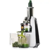 Lacor 69373 Juicer, 240 Watt, kunststof behuizing, opvangbak voor vruchtvlees