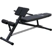 Gorilla Sports Halterbank met Hyperextensie