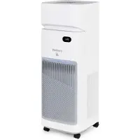 Webber Luchtzuiveraar AP9650
