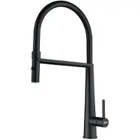 Franke Icon - Keukenkraan FG 0598.901, met flexibele uitloop en vuistdouche, mat zwart 115.0690.598