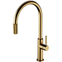 Omnires Switch - Keukenkraan met filterfunctie, geborsteld goud SW9057-FD1GLB