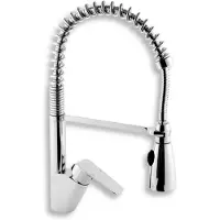 Novaservis Nobless Tina - Keukenkraan met flexibele arm en sproeikop, chroom 38481,0
