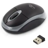 Titanum Esperanza mouse Ambidextrous RF Wireless Optical 1000 DPI