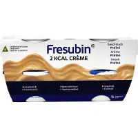Fresenius 2 Kcal Crème Praliné 4x125 g Crème