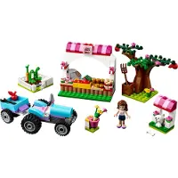 LEGO 41026 Sunshine Oogst
