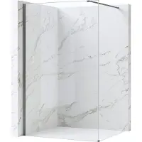 REA Walk-in Douchewand Flexi Transparent / Titan 90
