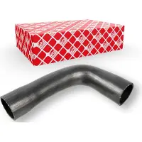 FEBI BILSTEIN 107625 Radiateurslang