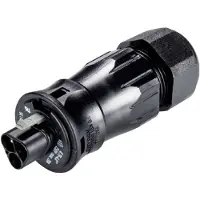 Wieland Electric 96.032.4553.1 Steekverbinder