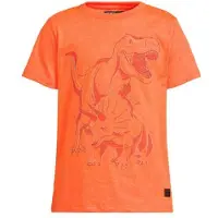 Orange stars T-shirt oranje Jongens Katoen Ronde hals Printopdruk - maat 158/164