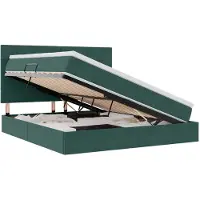 vidaXL LED opbergbed met matras Donkergroen 180 x 200 cm Fluweel