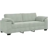 vidaXL 3-zitsbank 220x77x82 cm fluweel lichtgrijs