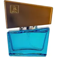 Hot - Pheromone Parfum Mannen 15 ml- Licht Blauw